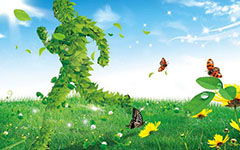 如何營(yíng)造綠色校園作文