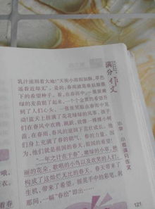 作文,春夏秋冬,寫(xiě)一篇,美麗