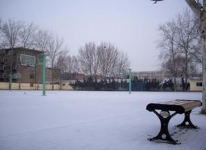 海南,作文,冬天,校園