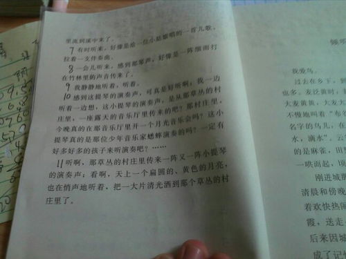 校園美感受心得作文