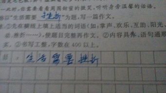 校園里的快樂(lè )生活作文80字