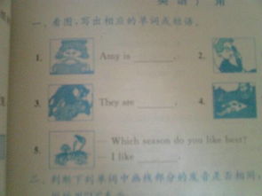 作文,校園里,澆花