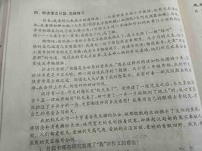 作文,奢侈,現象,校園