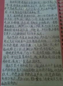 所見(jiàn)所聞,作文,所感,早晨