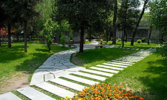 校園新風(fēng)尚作文400