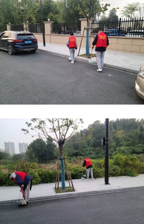 愛(ài)護環(huán)境共創(chuàng  )美好校園作文