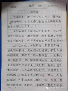 新聞校園七軍訓作文