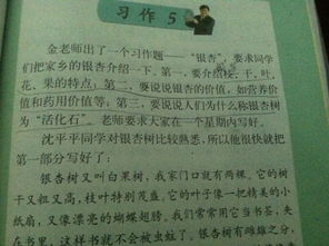 校園里的香樟樹(shù)作文300字,校園里的香樟樹(shù)作文三年級300字,寫(xiě)校園的香樟樹(shù)的作文400字