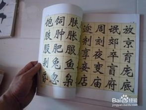 校園的調查報告作文怎么寫(xiě)