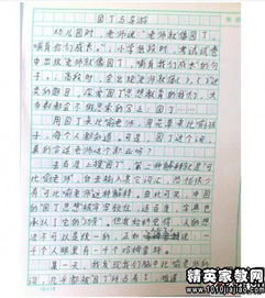寫(xiě)校園榕樹(shù)的作文700字
