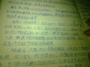 作文,校園愛(ài)情,利與弊