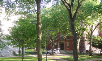 校園有你作文700字