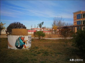 小學(xué)生作文美麗的校園花壇