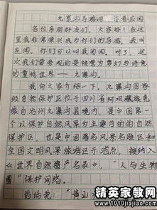 我的校園導游詞作文,美麗鄉村導游詞作文,美麗?ài)蛾?yáng)湖的導游詞作文