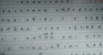 初中校園的運動(dòng)會(huì )作文650字