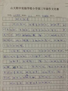 字左右,優(yōu)秀作文,校園,活動(dòng)