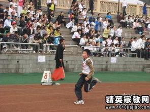 作文校園里的運動(dòng)會(huì )400字左右