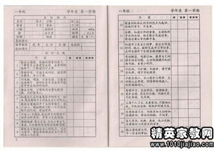 評語(yǔ)進(jìn)校園的作文600