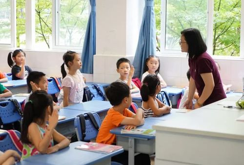 校園防疫我知曉的作文