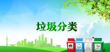 作文,生活垃圾,校園,分類(lèi)