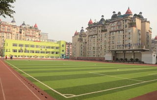 關(guān)于新環(huán)境新校園的作文300字