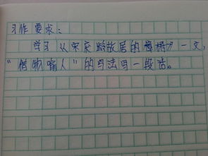 保護校園的樟樹(shù)作文怎么寫(xiě)