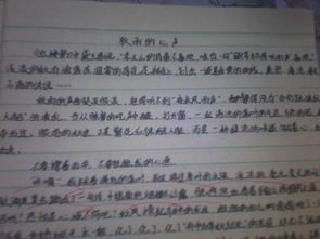 描寫(xiě)校園的木蘭樹(shù)的作文600字