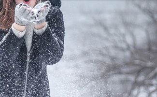 冬天美麗的校園作文怎么寫(xiě)