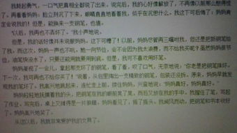 校園的秋天作文450字外國語(yǔ)