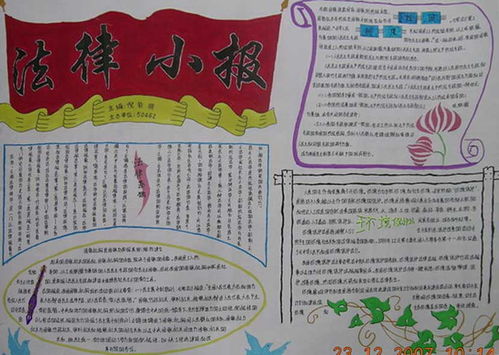 法律走進(jìn)校園作文600字