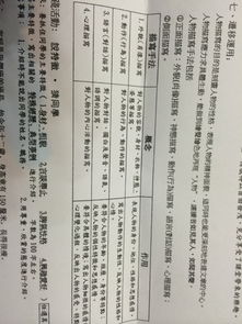 春天的校園作文200字三年級作文,春天的校園作文200字四年級,春天的校園真美作文200字