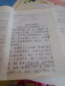作文,書(shū)香,好書(shū),校園