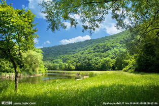 新的校園環(huán)境600作文