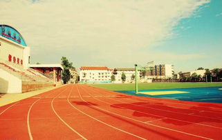 描寫(xiě)校園的操場(chǎng)的作文