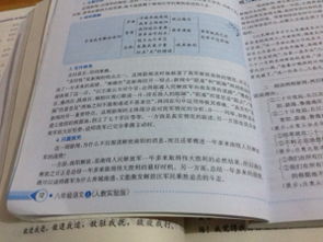 作文,語(yǔ)文,發(fā)生,校園