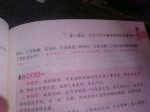 作文,個(gè)字,校園