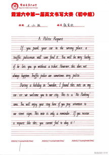 難忘的校園藝術(shù)節作文,精彩的校園藝術(shù)節作文,科技藝術(shù)節英文作文