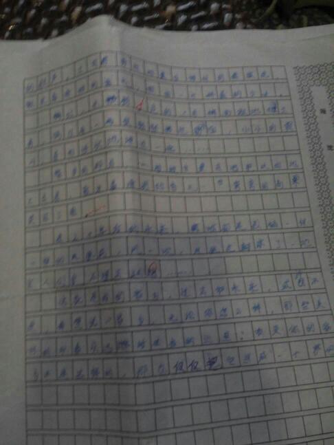 寫(xiě)一處校園中美麗的景物作文300字