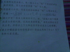 與校園道德建設有關(guān)的作文600字