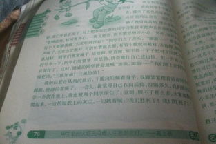 校園清冰活動(dòng)作文50字