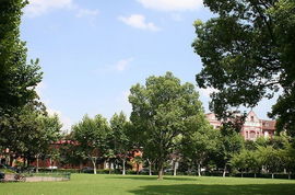 校園風(fēng)光作文800