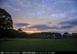 朝霞映照的校園作文490