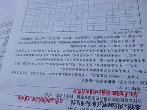 初三作文有關(guān)校園暴力議論文800