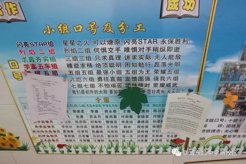我的新校園作文400字四年級,我們的新校園作文400字,走進(jìn)新校園作文400字(剛升初一)