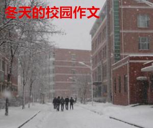 描寫(xiě)冬天校園美景的作文范文