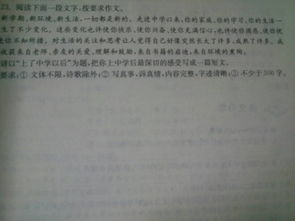 我的校園作文700字高中