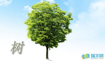 校園的一棵樹(shù)作文寫(xiě)景