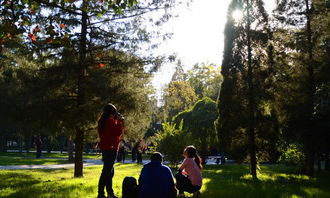 作文,發(fā)生,校園,百字