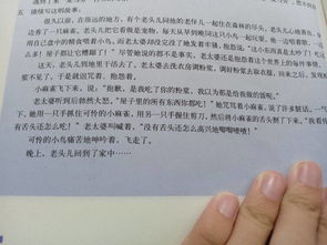 作文寫(xiě)滿(mǎn)記憶的校園800字