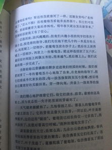 校園的榕樹(shù)1000字作文